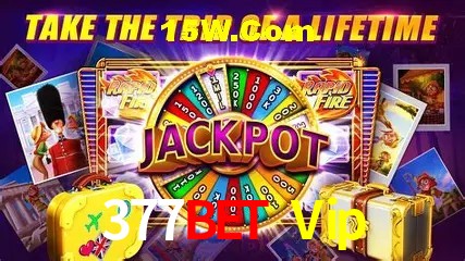 377Bet Vip - Winners Celebration